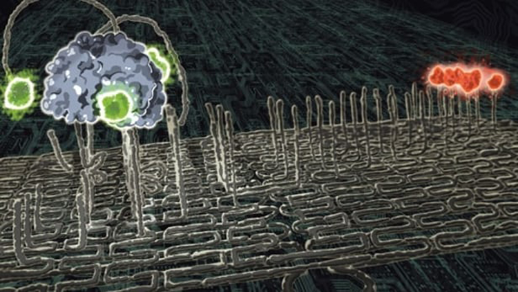 artist's drawing 							of a nanorobot